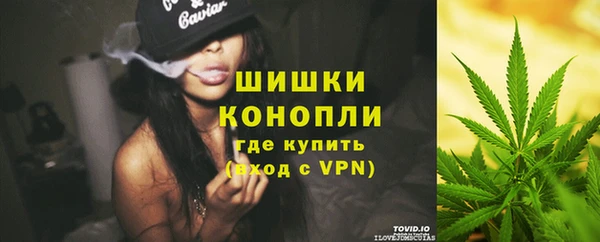 PSILOCYBIN Каменка