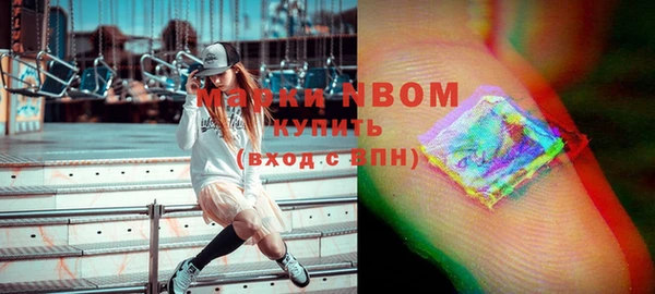 PSILOCYBIN Каменка