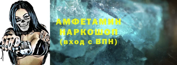 PSILOCYBIN Каменка