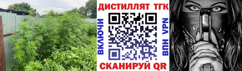 Купить  Вельск  ТГК вейп 