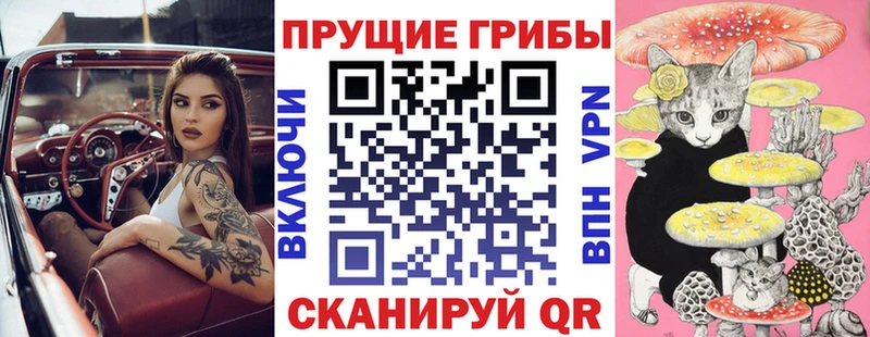 Купить  Вельск  Галлюциногенные грибы прущие грибы 